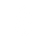 Icon of a magnolia leaf